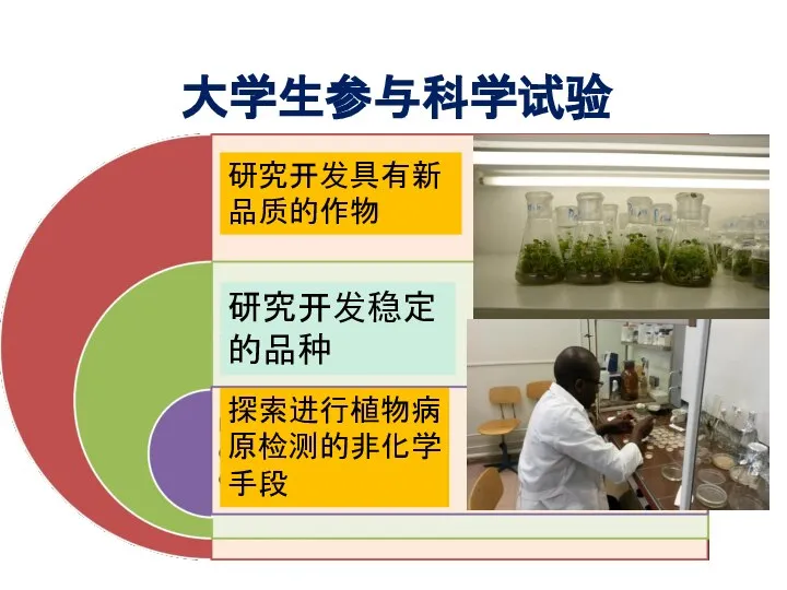 大学生参与科学试验 研究开发具有新品质的作物 研究开发稳定的品种 探索进行植物病原检测的非化学手段