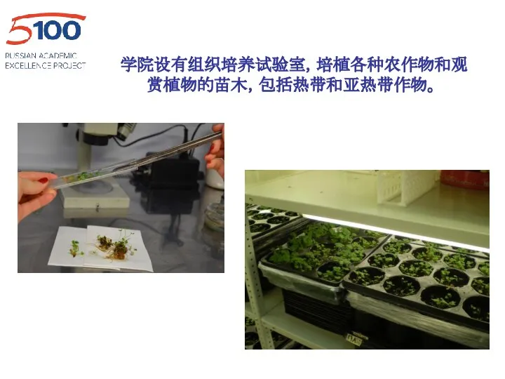 学院设有组织培养试验室，培植各种农作物和观赏植物的苗木，包括热带和亚热带作物。