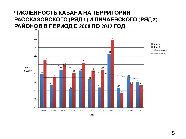 ЧИСЛЕННОСТЬ КАБАНА НА ТЕРРИТОРИИ РАССКАЗОВСКОГО (РЯД 1) И ПИЧАЕВСКОГО (РЯД 2)