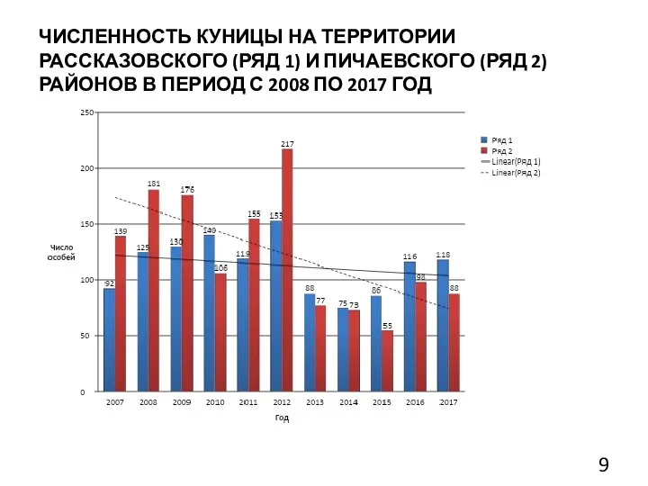 ЧИСЛЕННОСТЬ КУНИЦЫ НА ТЕРРИТОРИИ РАССКАЗОВСКОГО (РЯД 1) И ПИЧАЕВСКОГО (РЯД 2)