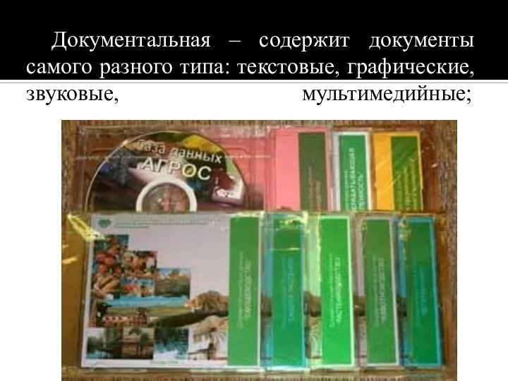 Документальная – содержит документы самого разного типа: текстовые, графические, звуковые, мультимедийные;