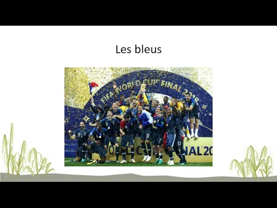 Les bleus