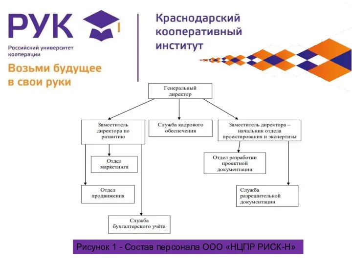 Рисунок 1 - Состав персонала ООО «НЦПР РИСК-Н»