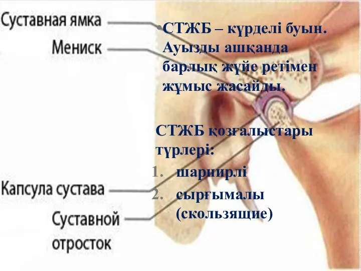 СТЖБ – күрделі буын. Ауызды ашқанда барлық жүйе ретімен жұмыс жасайды.