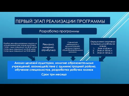 ПЕРВЫЙ ЭТАП РЕАЛИЗАЦИИ ПРОГРАММЫ Анализ целевой аудитории, наличие образовательных учреждений, взаимодействие