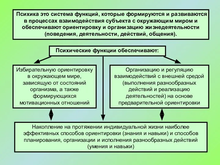 Психика это система функций, которые формируются и развиваются в процессах взаимодействия