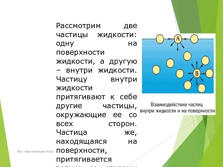 МОУ «Муслюмовская ООШ» Рассмотрим две частицы жидкости: одну на поверхности жидкости,