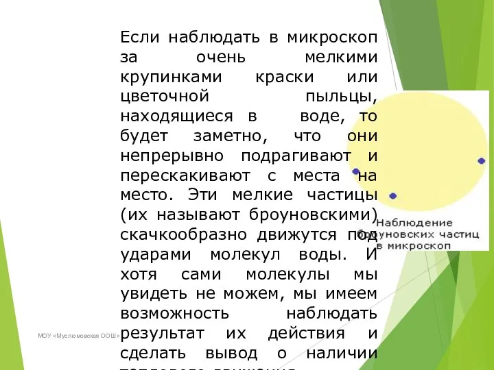 МОУ «Муслюмовская ООШ» Если наблюдать в микроскоп за очень мелкими крупинками