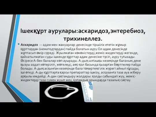 Ішекқұрт аурулары:аскаридоз,энтеребиоз,трихинеллез. Аскаридоз — адам мен жануарлар денесінде тіршілік ететін жұмыр