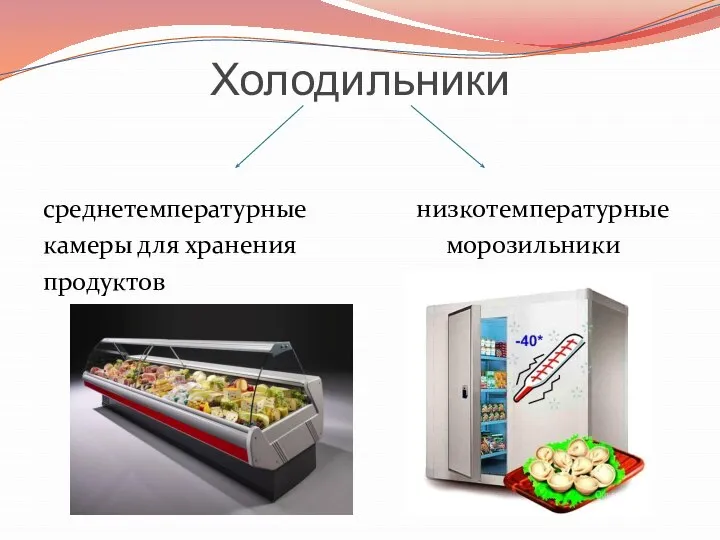 Холодильники среднетемпературные низкотемпературные камеры для хранения морозильники продуктов
