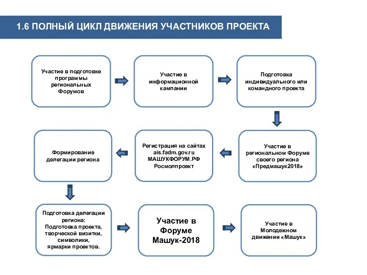 1.6 ПОЛНЫЙ ЦИКЛ ДВИЖЕНИЯ УЧАСТНИКОВ ПРОЕКТА Участие в подготовке программы региональных