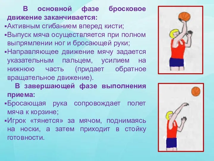 В основной фазе бросковое движение заканчивается: Активным сгибанием вперед кисти; Выпуск