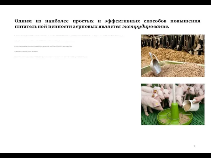 Его сущность заключается в том, что зерно подвергается кратковременному, но очень