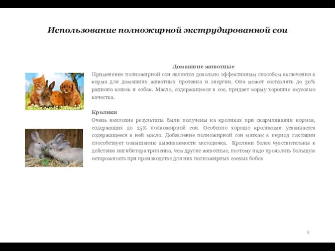 Использование полножирной экструдированной сои Домашние животные Применение полножирной сои является довольно