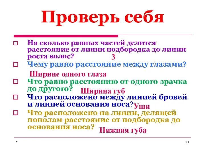 Проверь себя На сколько равных частей делится расстояние от линии подбородка