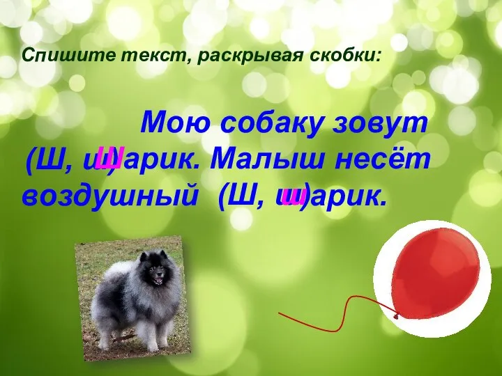 Спишите текст, раскрывая скобки: Мою собаку зовут арик. Малыш несёт воздушный