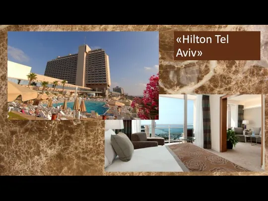 «Hilton Tel Aviv»