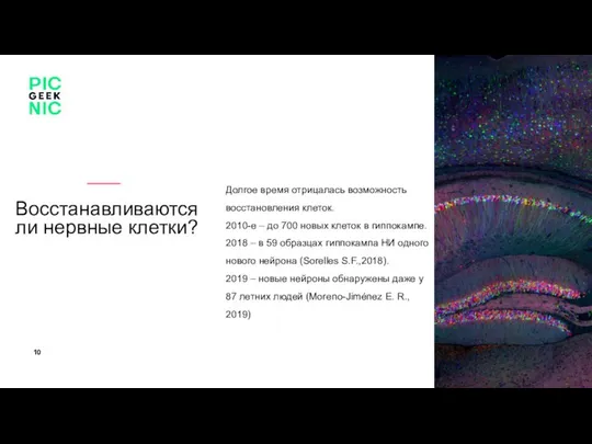 Долгое время отрицалась возможность восстановления клеток. 2010-е – до 700 новых