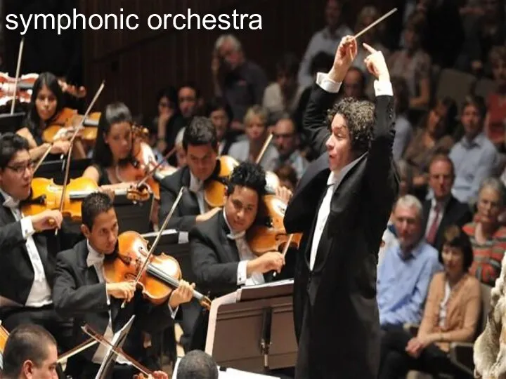 symphonic orchestra