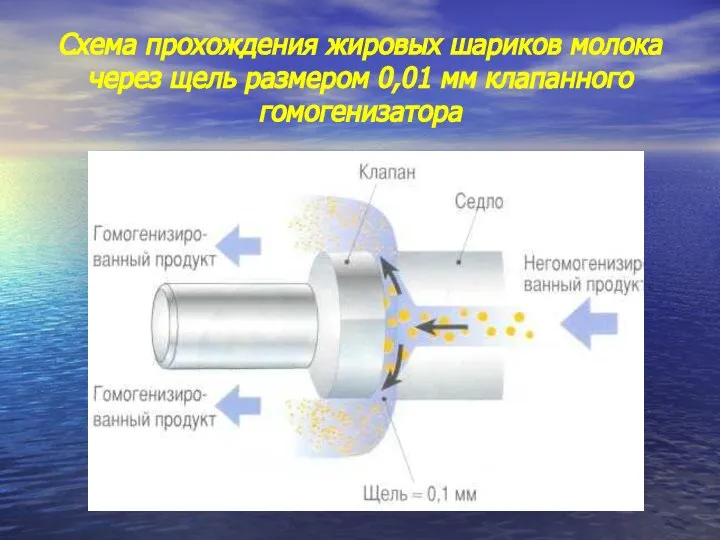 Схема прохождения жировых шариков молока через щель размером 0,01 мм клапанного гомогенизатора