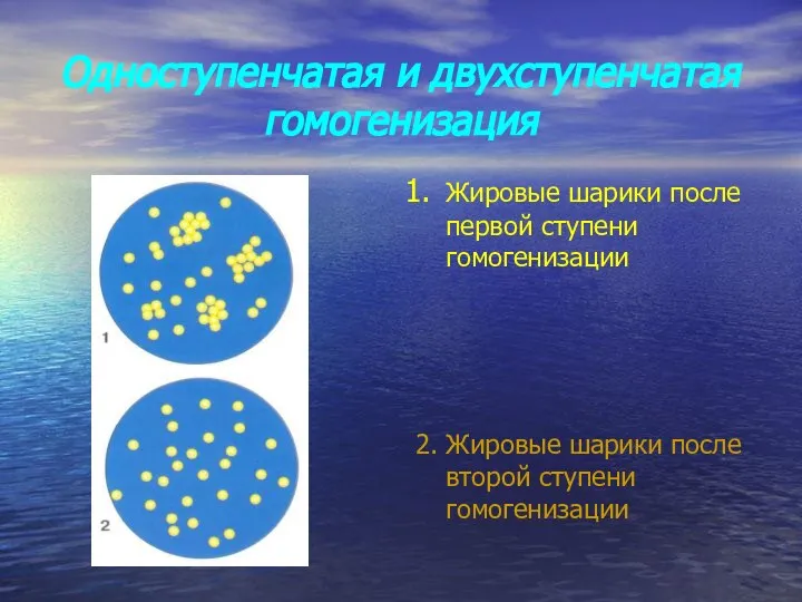 Одноступенчатая и двухступенчатая гомогенизация Жировые шарики после первой ступени гомогенизации 2.