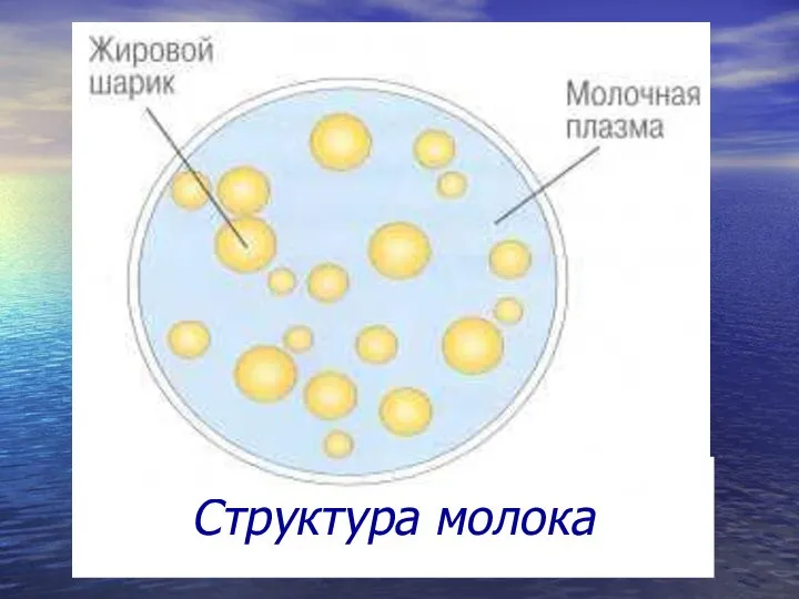 Структура молока