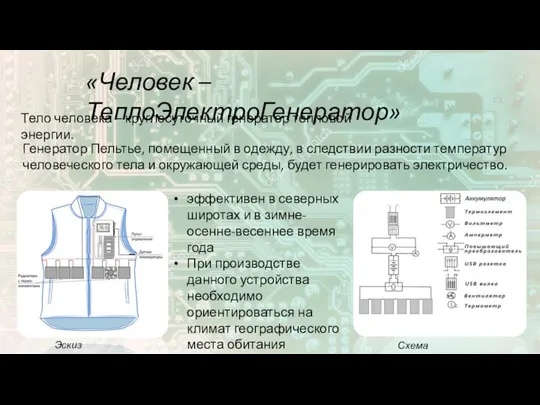 Схема устройства «Человек – ТеплоЭлектроГенератор» Тело человека – круглосуточный генератор тепловой