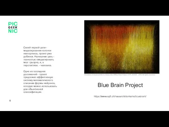 https://www.epfl.ch/research/domains/bluebrain/ Blue Brain Project Своей первой цели - моделирования колонки неокортекса,