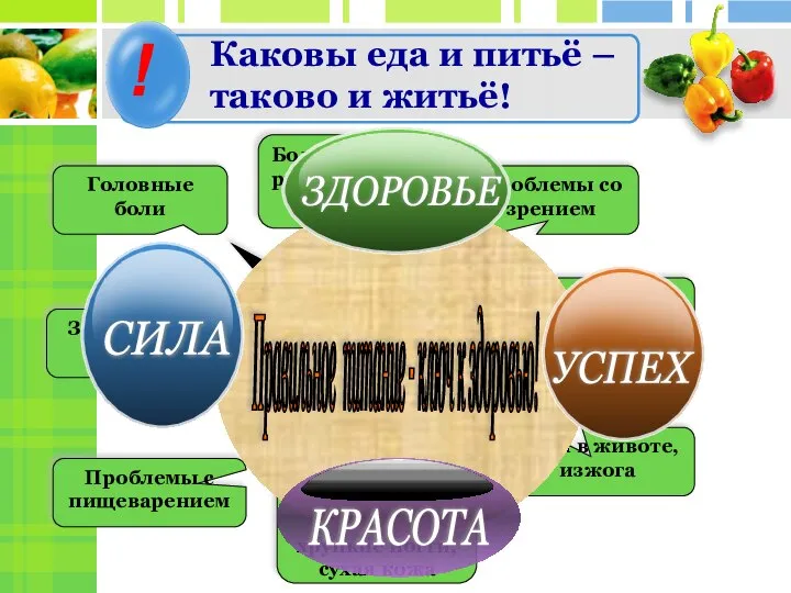 ! Каковы еда и питьё – таково и житьё! Головные боли