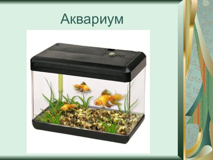 Аквариум