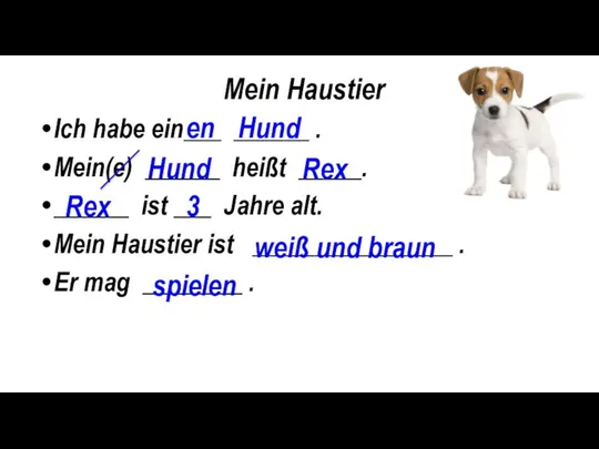 Mein Haustier Ich habe ein___ ______ . Mein(e) ______ heißt _____.