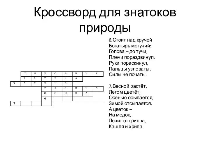 Кроссворд для знатоков природы 6.Стоит над кручей Богатырь могучий: Голова –