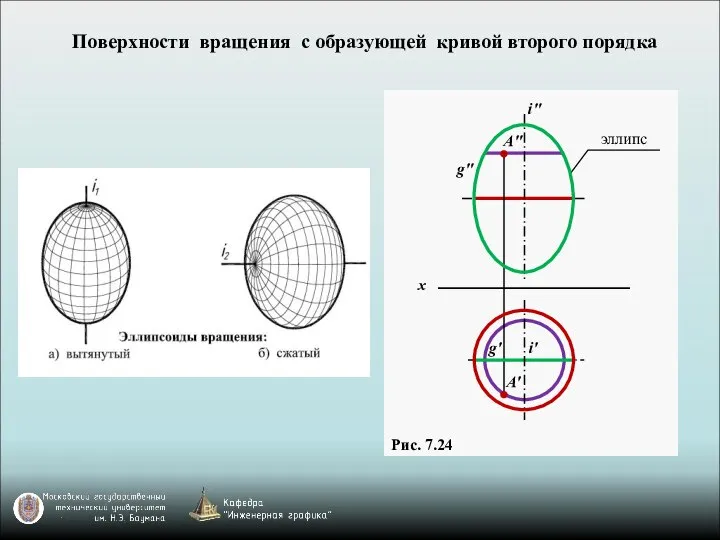 i' Поверхности вращения с образующей кривой второго порядка Рис. 7.24 эллипс