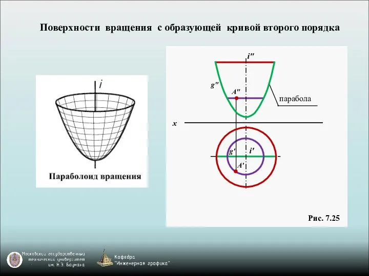 Поверхности вращения с образующей кривой второго порядка Рис. 7.25 парабола A'