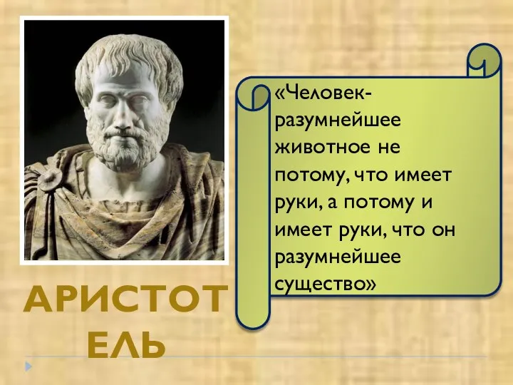 АРИСТОТЕЛЬ «Человек- разумнейшее животное не потому, что имеет руки, а потому