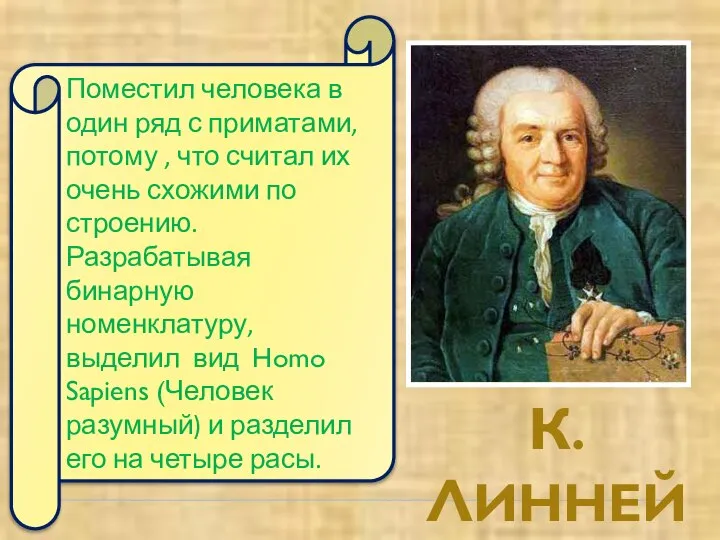 К.ЛИННЕЙ Поместил человека в один ряд с приматами, потому , что