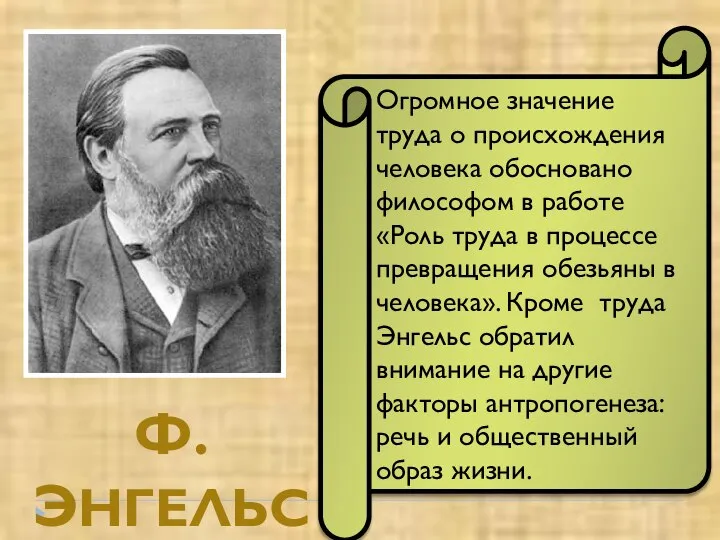 Ф. ЭНГЕЛЬС Огромное значение труда о происхождения человека обосновано философом в