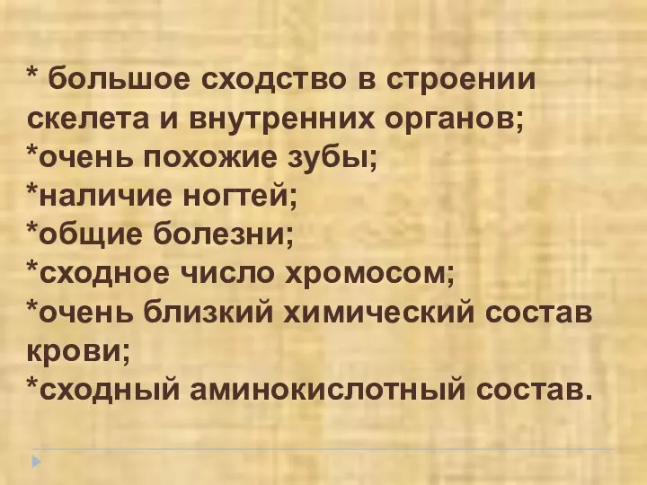 * большое сходство в строении скелета и внутренних органов; *очень похожие