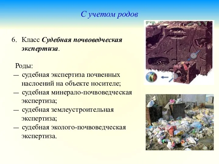 С учетом родов Класс Судебная почвоведческая экспертиза. Роды: — судебная экспертиза