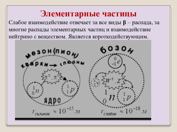 Слабое взаимодействие отвечает за все виды β – распада, за многие