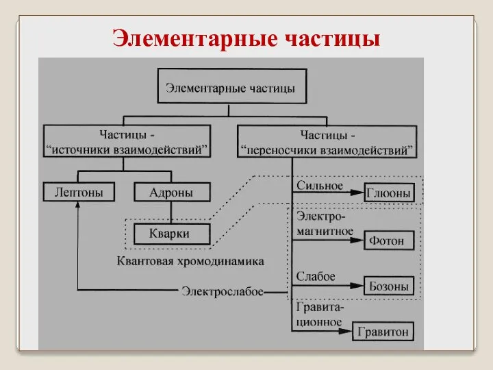 Элементарные частицы