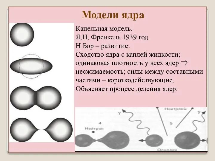 Капельная модель. Я.Н. Френкель 1939 год. Н Бор – развитие. Сходство