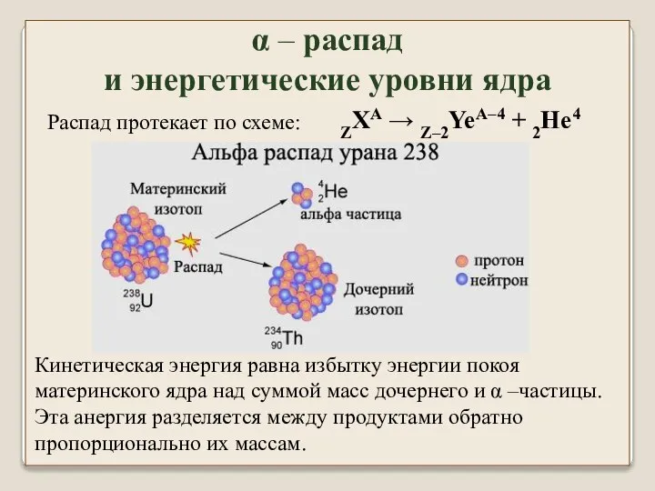 α – распад и энергетические уровни ядра Распад протекает по схеме: