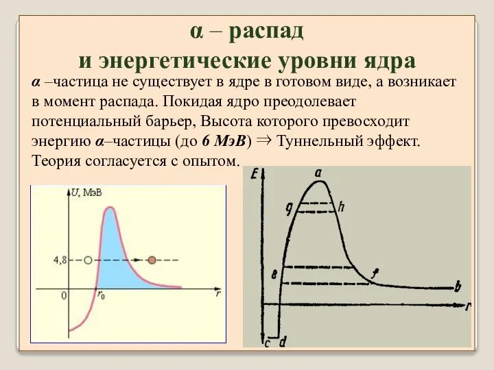 α –частица не существует в ядре в готовом виде, а возникает