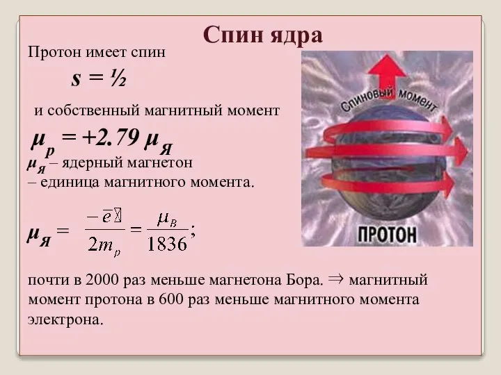 Спин ядра Протон имеет спин s = ½ и собственный магнитный