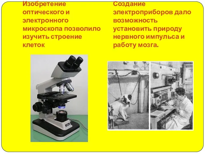 Изобретение оптического и электронного микроскопа позволило изучить строение клеток Создание электроприборов