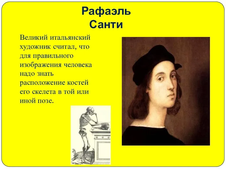 Рафаэль Санти Великий итальянский художник считал, что для правильного изображения человека