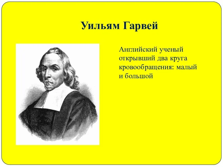 Уильям Гарвей Английский ученый открывший два круга кровообращения: малый и большой