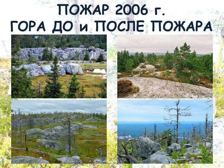 ПОЖАР 2006 г. ГОРА ДО и ПОСЛЕ ПОЖАРА