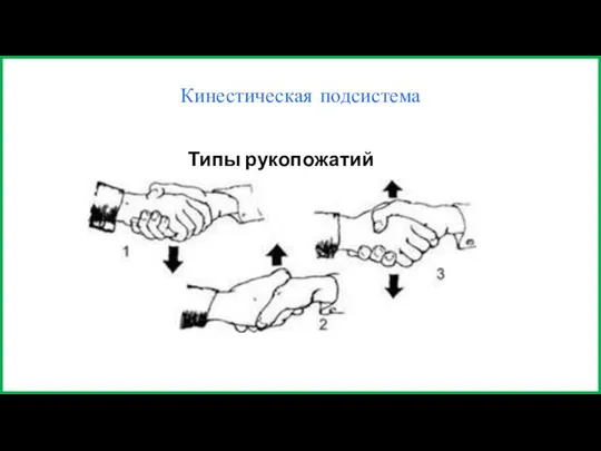 Кинестическая подсистема Типы рукопожатий